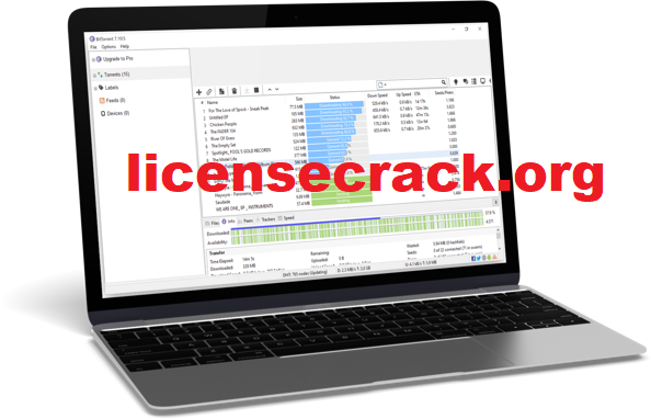 BitTorrent Pro Crack + License Key [2022]